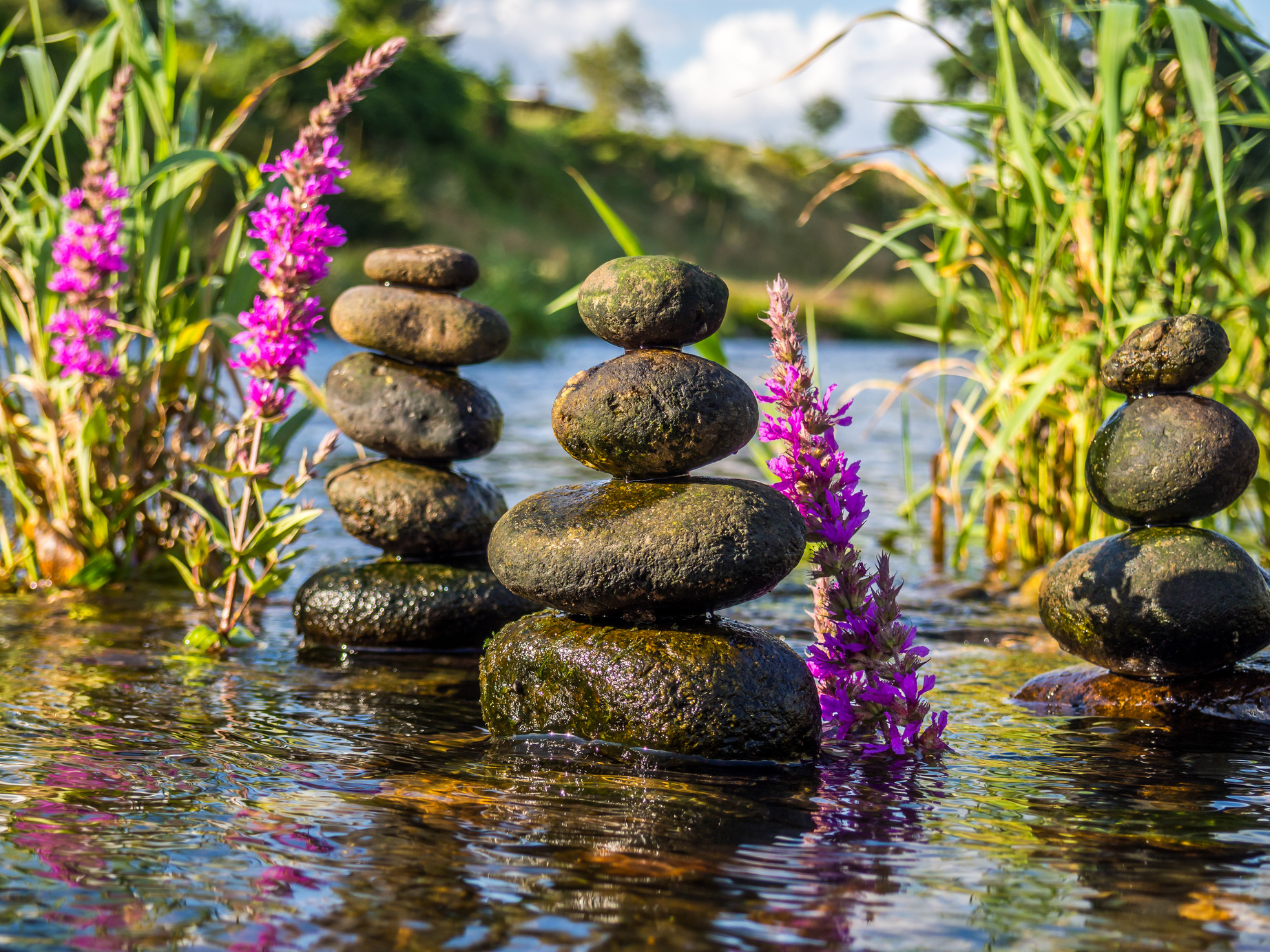 Water as a vital energy