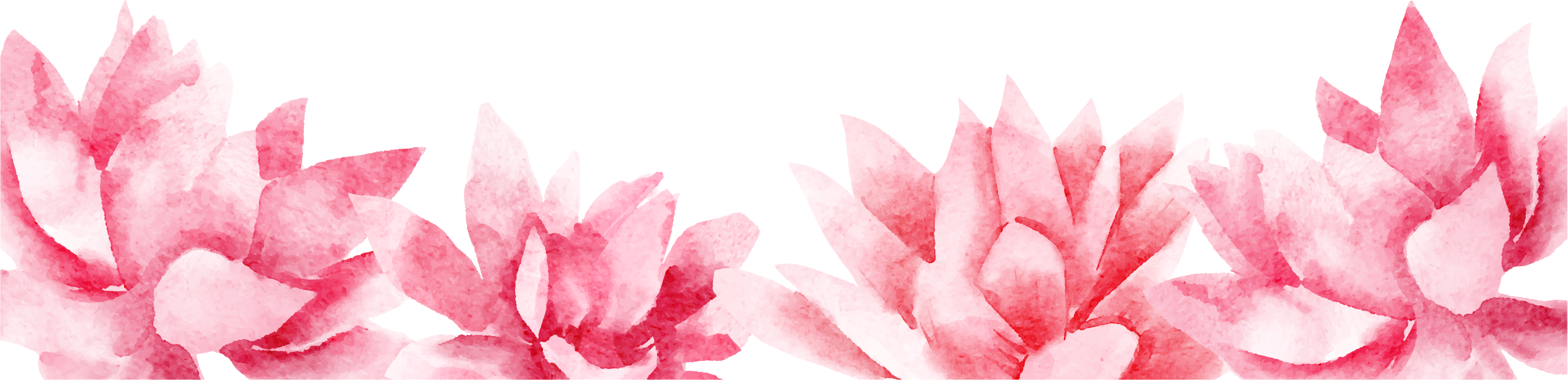 lotus flower frame